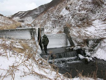 Японская плотина на реке Николаевка