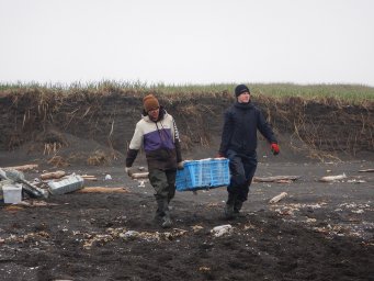 погрузка, разгрузка, встреча, проводы