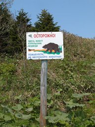 Остров Кунашир 6
