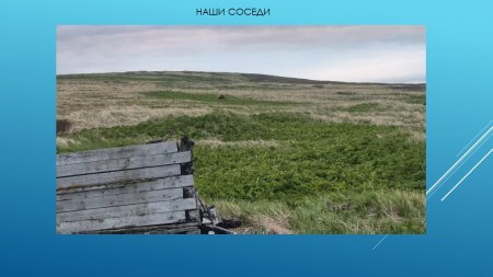 26-я экспедиция. Отчет Камчатско-Курильской экспедиции 8