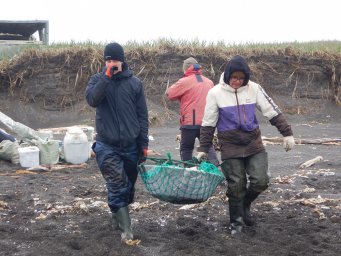 погрузка, разгрузка, встреча, проводы
