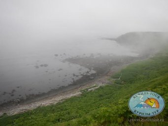 Отчет Камчатской региональной общественной организации &laquo;Камчатско-Курильские экспедиции за 2022 год&raquo;