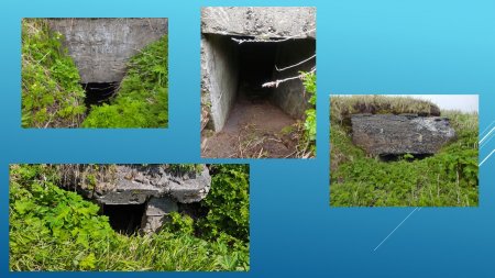 26-я экспедиция. Отчет Камчатско-Курильской экспедиции 20
