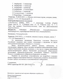 Отчёт экспедиционного выхода на о.Шумшу и о.Атласова 2